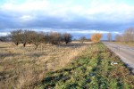Бориспольский район (с. Большая Старица, Бориспольский район) - Продается участок под застройку, 1500 $ - АСНУ