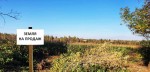 Калуське шосе (г. Ивано-Франковск) - Продається коммерційна ділянка, 449500 $ - АФНУ