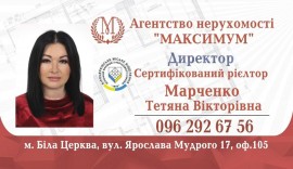 АН Максимум