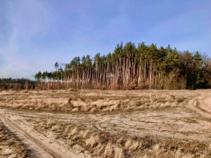 Дмитрівська сільська рада (с. Дмитровка, Киево-Святошинский район) - Продається сільськогосподарська ділянка, 13000 $ - АФНУ