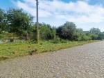 Першотравнева, 17 (с. Требуховцы, Летичевский район) - Продається ділянка під забудову, 12000 $ - АФНУ