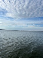 Центральна (с. Горбасов, Летичевский район) - Продається сільськогосподарська ділянка, 500 $ за сотку - АФНУ