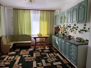 Центральна, 80 (с. Дашковцы, Литинский район) - Продається будинок, 86000 $ - АФНУ