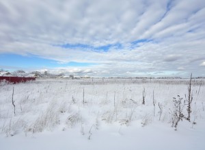 Блиставицька сільська рада (с. Блиставица, Бородянский район) - Продається сільськогосподарська ділянка, 38000 $ - АФНУ