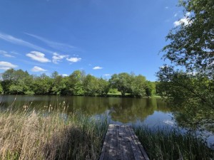 ул. Лісова (с. Городище, Белоцерковский район) - Продається будинок, 250000 $ - АФНУ