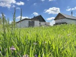 ул. Лісова (с. Теснивка, Коростышевский район) - Продається ділянка під забудову, 50000 $ - АФНУ