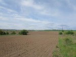 ул. Східна (с. Лесовые Гриновцы, Хмельницкий район) - Продається сільськогосподарська ділянка, 7380 $ - АФНУ
