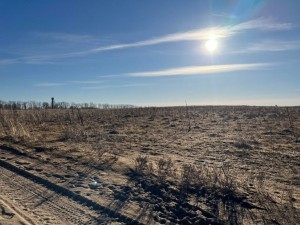 не призначена (с. Микуличи, Бородянский район) - Продається ділянка під забудову, 9000 $ - АФНУ