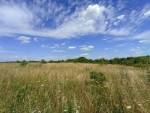 Гарнізонна (г. Хмельницкий) - Продається сільськогосподарська ділянка, 400 $ за сотку - АФНУ