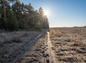 вул. Богдана Хмельницького, 38 (с. Дружня, Бородянский район) - Продається ділянка під забудову, 5000 $ - АФНУ