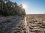 вул. Богдана Хмельницького, 38 (с. Дружня, Бородянский район) - Продається ділянка під забудову, 5000 $ - АФНУ
