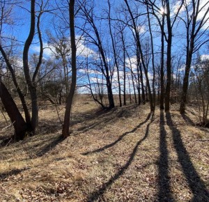 не призначена (пгт. Гостомель, г. Ирпень) - Продається сільськогосподарська ділянка, 11000 $ - АФНУ