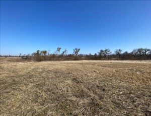 вул. Лісова, 36 (с. Мироцкое, Киево-Святошинский район) - Продається ділянка під забудову, 8000 $ - АФНУ