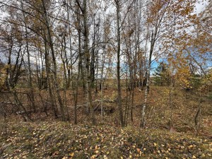 Блиставицька сільська рада (пгт. Гостомель, г. Ирпень) - Продається сільськогосподарська ділянка, 11000 $ - АФНУ