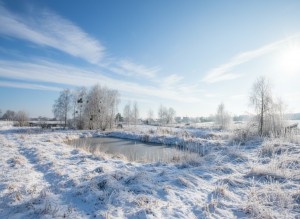 вул.Паліїв, 19 (с. Козинцы, Бородянский район) - Продається ділянка під забудову, 8500 $ - АФНУ