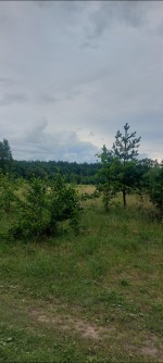 1822082200:01:000:0604 (с. Дениши, Житомирский район) - Продається сільськогосподарська ділянка, 2950 $ - АФНУ