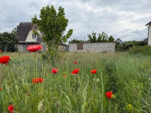 вул.Вишнева, 18 (пгт. Гостомель, г. Ирпень) - Продається ділянка під забудову, 42000 $ - АФНУ