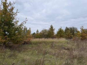 не визначена (с. Михайловка-Рубежовка, Киево-Святошинский район, Онтаріо) - Продається сільськогосподарська ділянка, 67000 $ - АФНУ