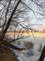 ул. Садова (г. Переяслав-Хмельницкий) - Продається сільськогосподарська ділянка, 13500 $ - АФНУ