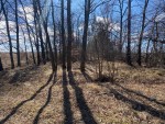 Блиставицька сільська рада (пгт. Гостомель, г. Ирпень) - Продається сільськогосподарська ділянка, 11000 $ - АФНУ