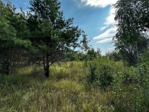 не призначена (с. Михайловка-Рубежовка, Киево-Святошинский район) - Продається сільськогосподарська ділянка, 7000 $ - АФНУ