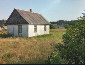 ул. Поліська, 44 (с. Давыдовка, Житомирский район) - Продається будинок, 14000 $ - АФНУ
