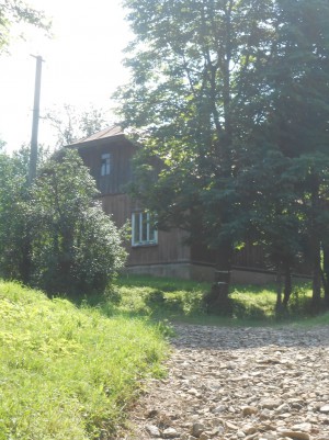 Гірська (с. Стрелки, Старосамборский район) - Продається будинок, 22000 $ - АФНУ