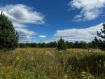 не призначена (с. Дмитровка, Киево-Святошинский район) - Продається сільськогосподарська ділянка, 11000 $ - АФНУ