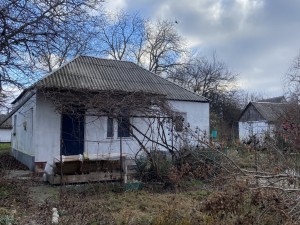 Січових Стрільців, 28 (г. Борисполь) - Продається будинок, 65000 $ - АФНУ