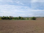 ул. Східна (с. Лесовые Гриновцы, Хмельницкий район) - Продається сільськогосподарська ділянка, 5520 $ - АФНУ