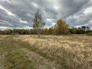 не призначена (с. Козинцы, Бородянский район) - Продається ділянка під забудову, 4500 $ - АФНУ