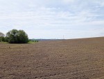 ул. Східна (с. Лесовые Гриновцы, Хмельницкий район) - Продається сільськогосподарська ділянка, 8280 $ - АФНУ