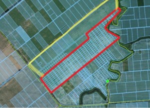Без назви, 1 (с. Процов, Бориспольский район) - Продається ділянка під забудову, 480 $ за сотку - АФНУ