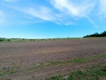 ул. Східна (с. Лесовые Гриновцы, Хмельницкий район) - Продається сільськогосподарська ділянка, 6000 $ - АФНУ