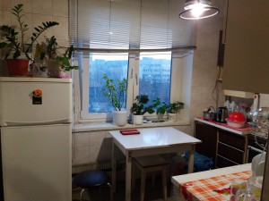 ул. Блюхера, 13 (г. Харьков, Киевский район) - Продається квартира, 30000 $ - АФНУ