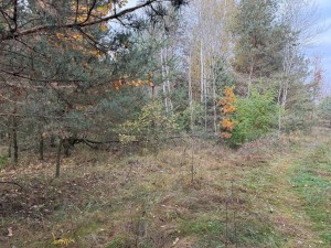 не призначена (с. Михайловка-Рубежовка, Киево-Святошинский район) - Продається сільськогосподарська ділянка, 22000 $ - АФНУ