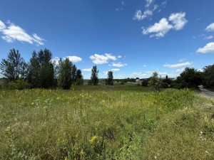 не призначена (пгт. Гостомель, г. Ирпень) - Продається сільськогосподарська ділянка, 14500 $ - АФНУ