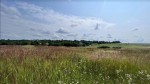 ул. Городня (с. Лесовые Гриновцы, Хмельницкий район) - Продається сільськогосподарська ділянка, 5000 $ - АФНУ