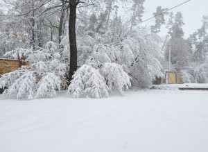не визначена (пгт. Ворзель, г. Ирпень) - Продається ділянка під забудову, 150000 $ - АФНУ
