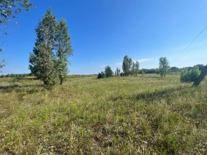 не призначена (с. Язвинка, Бородянский район) - Продається ділянка під забудову, 4000 $ - АФНУ