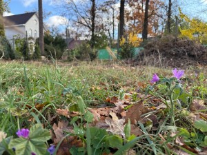 вул.Європейська (пгт. Ворзель, г. Ирпень) - Продається ділянка під забудову, 30000 $ - АФНУ