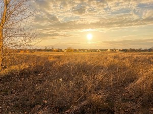 не призначена (с. Мироцкое, Киево-Святошинский район) - Продається ділянка під забудову, 20000 $ - АФНУ