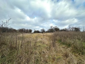 вул.Долинна, 44/1 (пгт. Гостомель, г. Ирпень) - Продається ділянка під забудову, 25000 $ - АФНУ