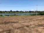 Медова, 39 (с. Молодежное, Овидиопольский район) - Продається ділянка під забудову, 30400 $ - АФНУ