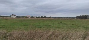 вул.Щаслива, 4 (с. Микуличи, Бородянский район) - Продається ділянка під забудову, 9000 $ - АФНУ