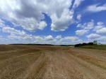 М12 (с. Червоная Зирка, Хмельницкий район) - Продається сільськогосподарська ділянка, 40000 $ - АФНУ