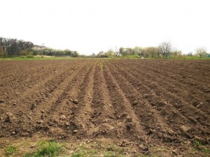 Без назви (с. Тарасово, Луцкий район) - Продається ділянка під забудову, 18000 $ - АФНУ