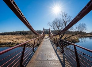 не призначена (г. Ирпень) - Продається сільськогосподарська ділянка, 6000 $ - АФНУ