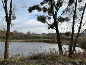 не призначена (г. Буча, Ястремщина) - Продається ділянка під забудову, 600000 $ - АФНУ