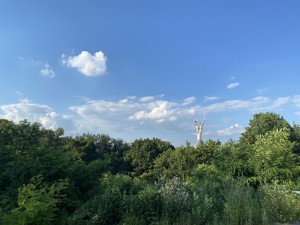 пер. Мичурина (г. Киев, Печерский район) - Продається ділянка під забудову, 5000000 $ - АФНУ
